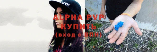сатива Зерноград