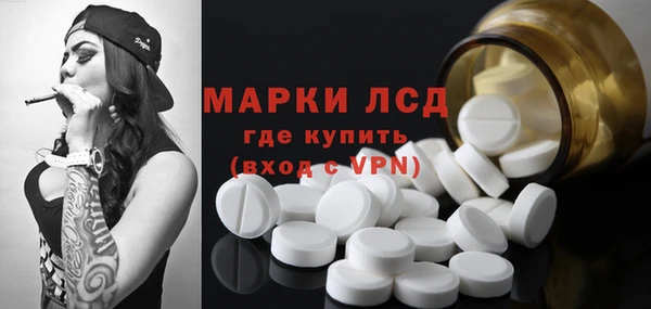 сатива Зерноград
