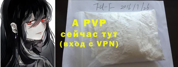 тгк Инта