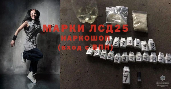 сатива Зерноград