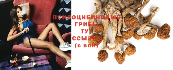 бошки Зеленодольск
