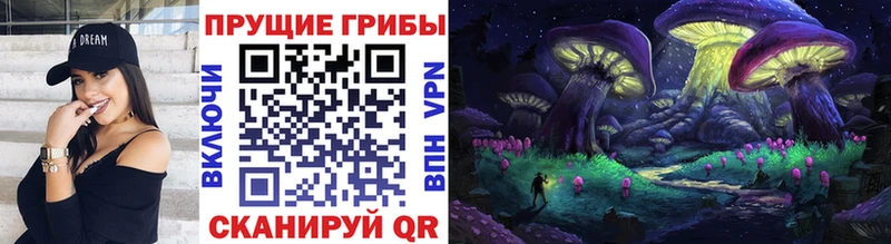 Купить закладки Очёр Галлюциногенные грибы GOLDEN TEACHER